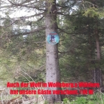 Hohenwarttreffe_2018_5