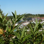 Thermenlandtreffen_2019_-17